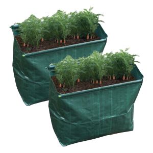St Helens Carrot Planter. Pack of 2