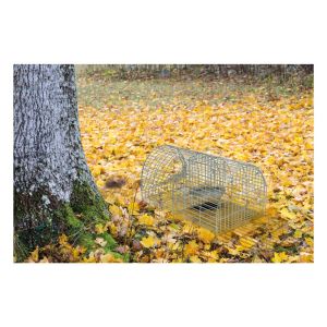 St Helens Multi Catch Live Animal Trap #2