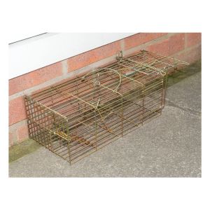 St Helens Live Rat Animal Trap #3