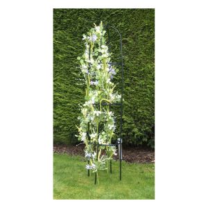 St Helens Garden Obelisk For Climbing Plants #3