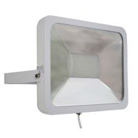 Eagle White Waterproof IP65 Slim Flood Light 100W Daylight