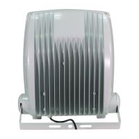 Eagle Slim LED Floodlight Green 100 watt #2