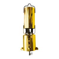 FxLab Gold Coloured Battery Powered Motor