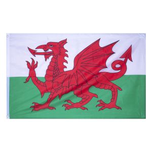 Wales Flag with 2 Metal Grommets 150cm x 90cm #2