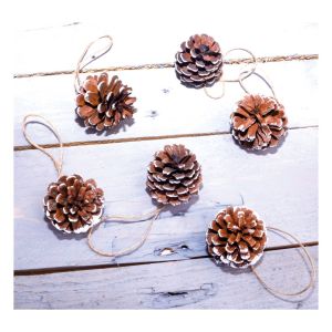 St Helens White Tipped Hanging Pine Cone Decoration. Pack of 6 #4