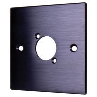Brushed Aluminium Black Wall Plate with D Series Compatible 1 Hole