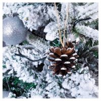 St Helens White Tipped Hanging Pine Cone Decoration. Pack of 6