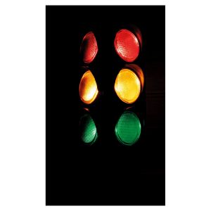Cheetah Traffic Lights Party Light #4