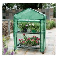 St Helens Mini 2 Tier Greenhouse with Shelves and PVC Cover