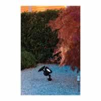 Luxform La Rochelle Solar LED Spot Light #3