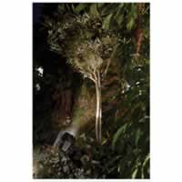 Luxform Lupi Intelligent Solar LED Spot Spike Light 100 Lumen #3