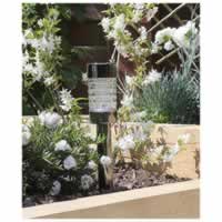 Luxform Mcon Solar LED Spike Light. Single #2