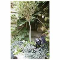 Luxform Lupi Intelligent Solar LED Spot Spike Light 100 Lumen #2