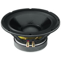 IMG StageLine SP 10A/302PA Bass Midrange Speaker 10 inch 600W.max