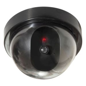 Eagle Dummy Dome Surveillance Camera