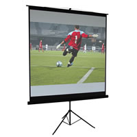 White 60 Inch Height Adjustable Tripod Projection Screen
